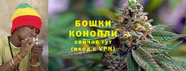 амф Пестово
