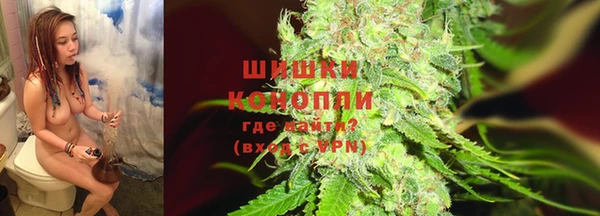 амф Пестово